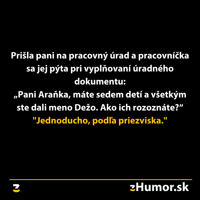 Textový obrázok s humorným dialógom medzi úradníčkou a ženou o menách jej siedmich detí.
