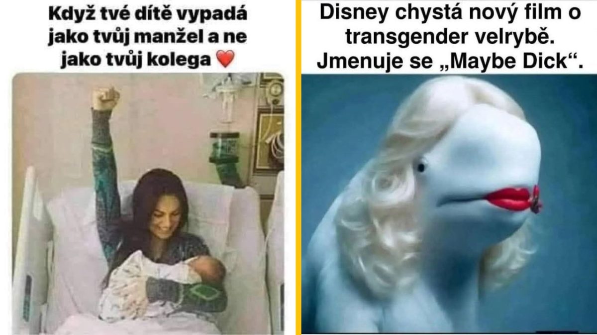 Obrázok so ženou a dieťaťom v nemocnici a vtipným textom, plus beluga s rúžom a bielou parochňou.
