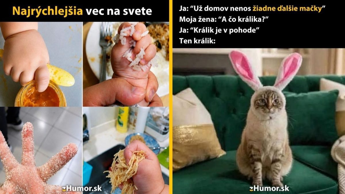 Dieťa s jedlom na rukách a mačka s králičími ušami ilustruje rodičovské a zvieracie humorné situácie.
