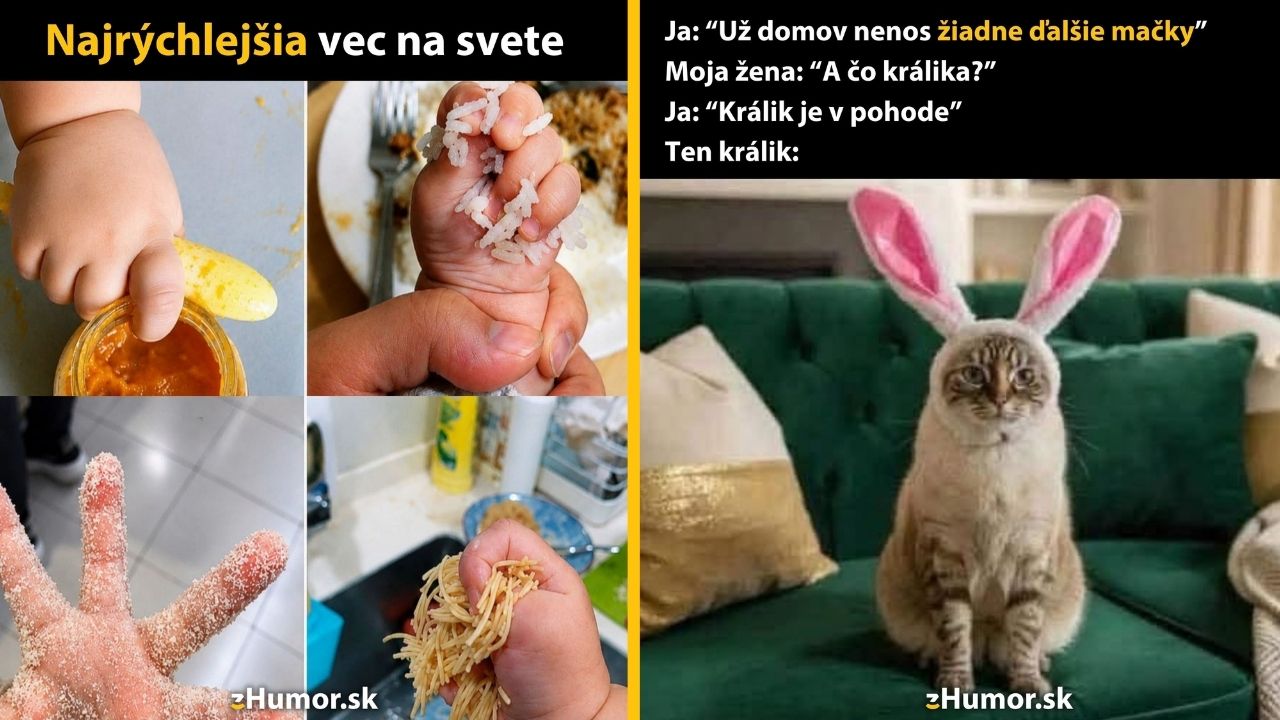 Dieťa s jedlom na rukách a mačka s králičími ušami ilustruje rodičovské a zvieracie humorné situácie.