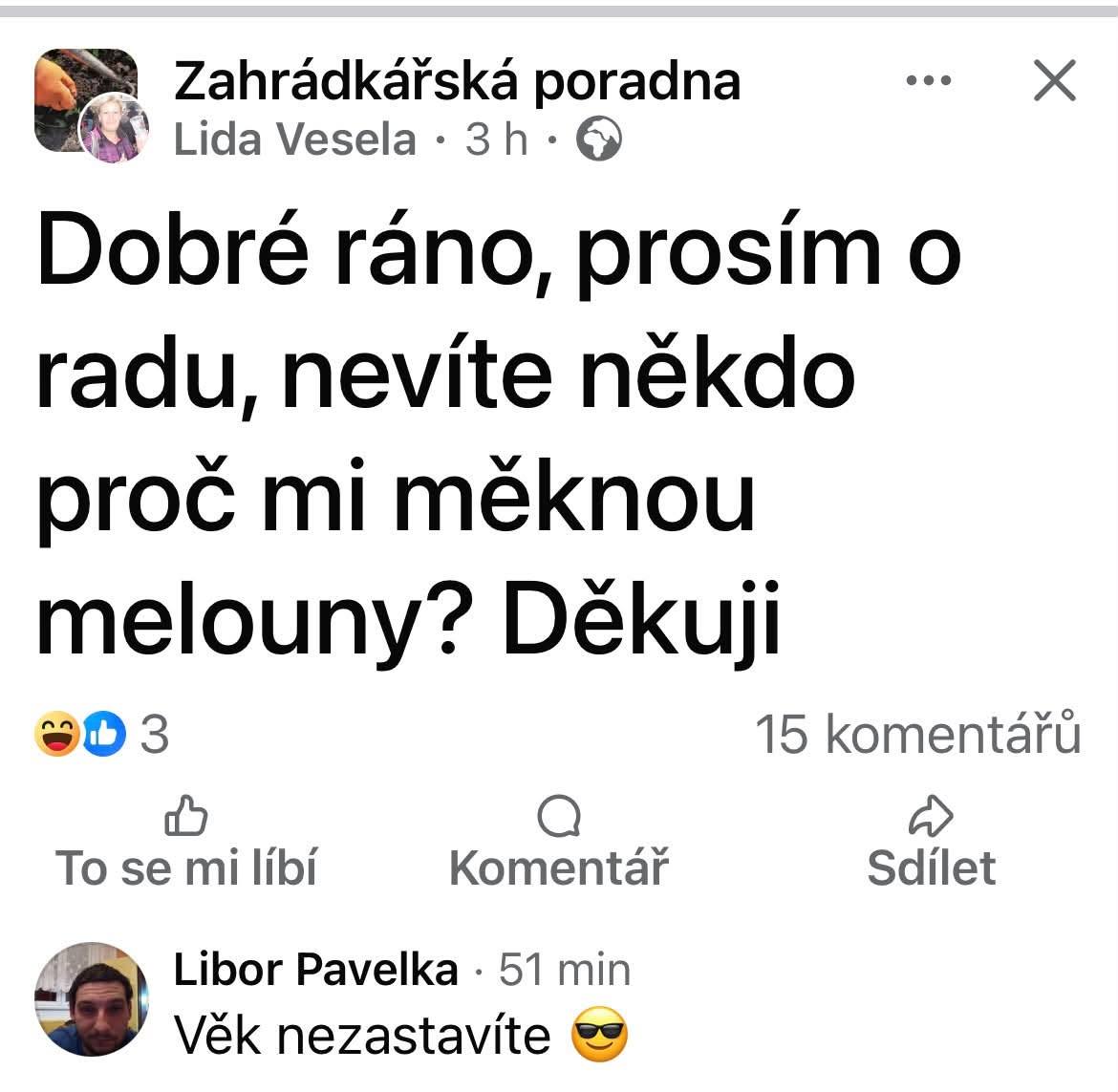 Používateľ sa pýta, prečo mu mäknú melóny, a iný používatelia mu odpovedá s humorom Věk nezastavíte.