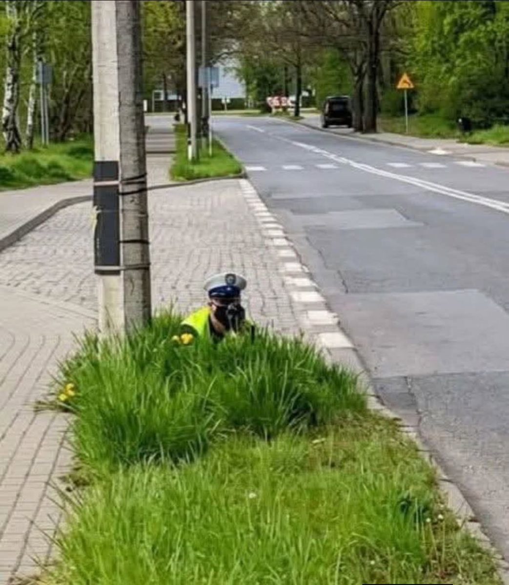 Policajt skrytý v kríkoch sleduje premávku na prázdnej ceste v slnečný deň.