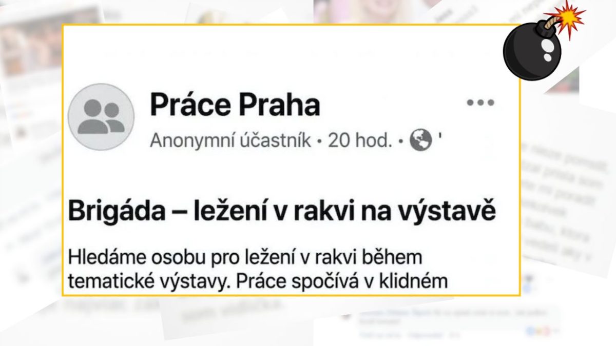 Ponuka brigády: ležanie v rakve na výstave, relaxačná práca v tématickom prostredí.