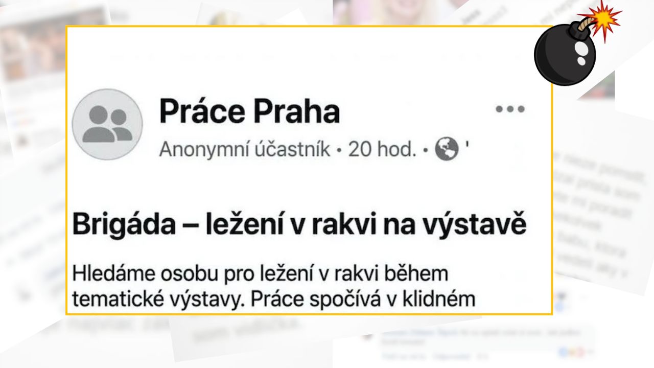 Ponuka brigády: ležanie v rakve na výstave, relaxačná práca v tématickom prostredí.