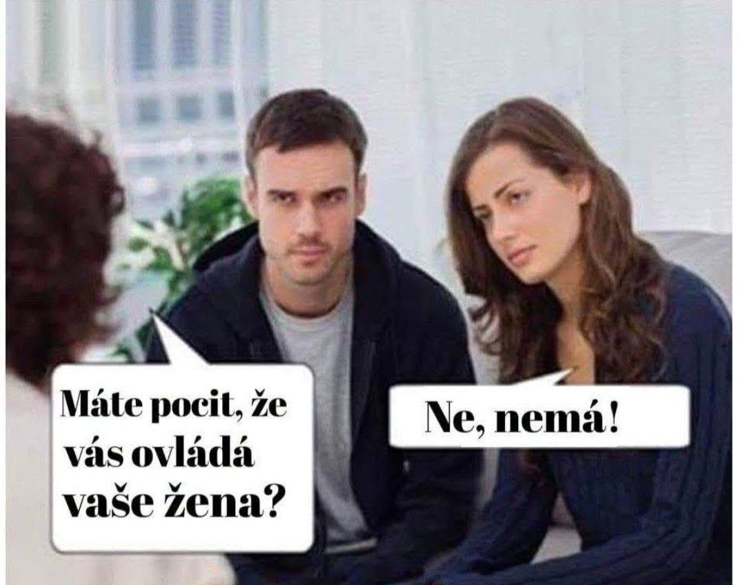 Pár na terapii diskutuje otázku kontroly v manželstve, muž odpovedá Ne, nemá! s rozhodným výrazom.