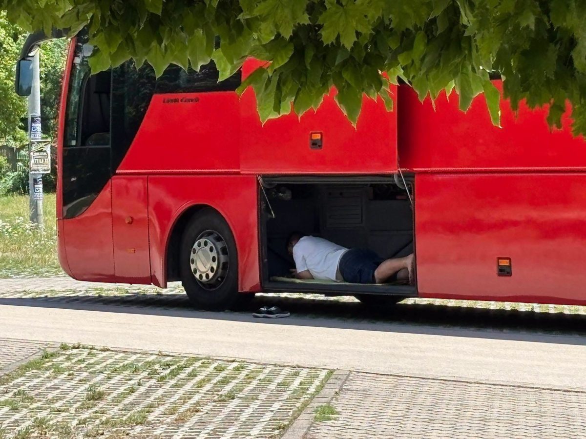 Osoba leží v otvorenom úložnom priestore červeného autobusu pod stromom.