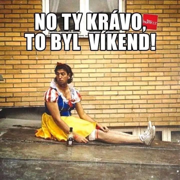 Muž v kostýme princeznej sedí na streche s fľašou, nad ním text: No ty krávo, to byl víkend!