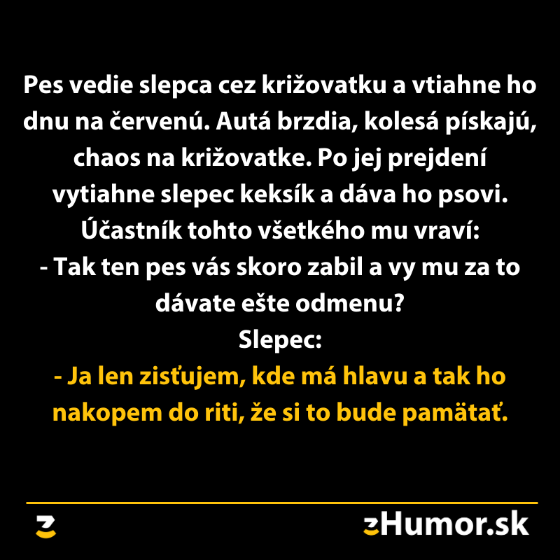 Vtipný text: Pes vedie slepca na červenú, chaos na križovatke, slepec hľadá psovu hlavu, aby ho odmenil.