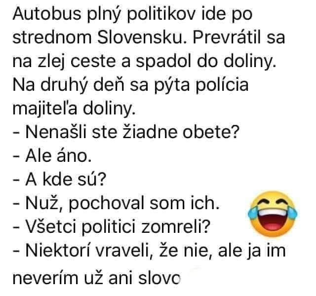 Vtipný text o nehode autobusu s politikmi a odpovedi majiteľa doliny na policajné otázky. Smiech emoji.