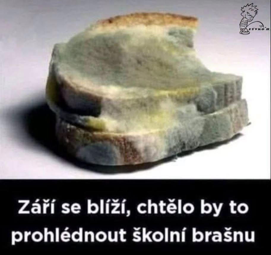 Plesnivý krajec chleba s textom: Září se blíží, chtělo by to prohlédnout školní brašnu.