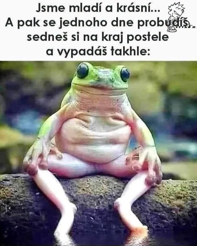 Žaba sediaca na kameni s textom o starnutí, humorná ilustrácia pocitu po prebudení.