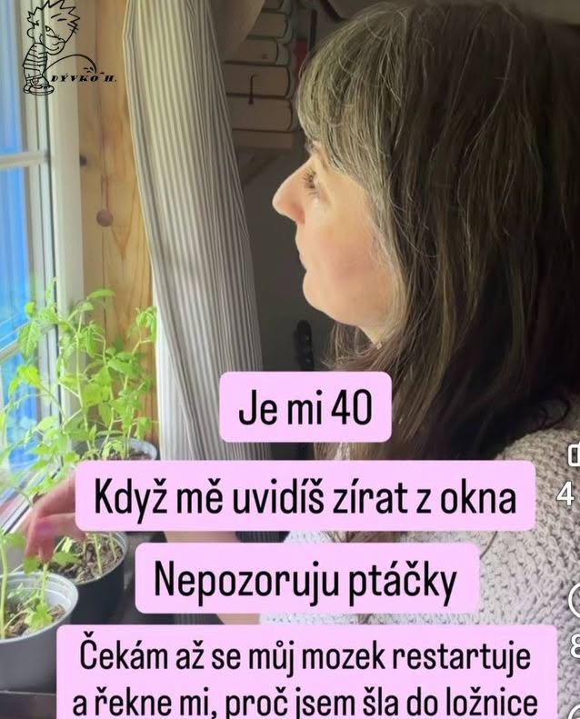 Žena stredného veku hľadí z okna, premýšľajúc o dôvode, prečo vstúpila do miestnosti, s humorným textom.