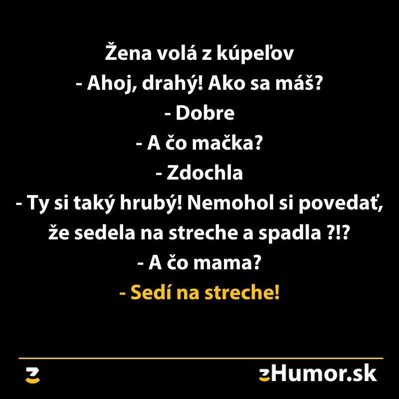 Žena volá muža, dozvie sa smutnú správu o mačke, vtip končí so svokrou na streche.