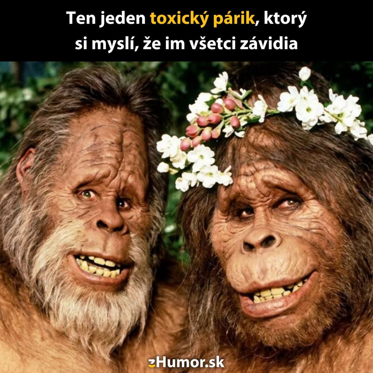 Dva usmievajúce sa chlpaté postavy v kvetinových korunách vtipne zosmiešňujú toxické vzťahy.