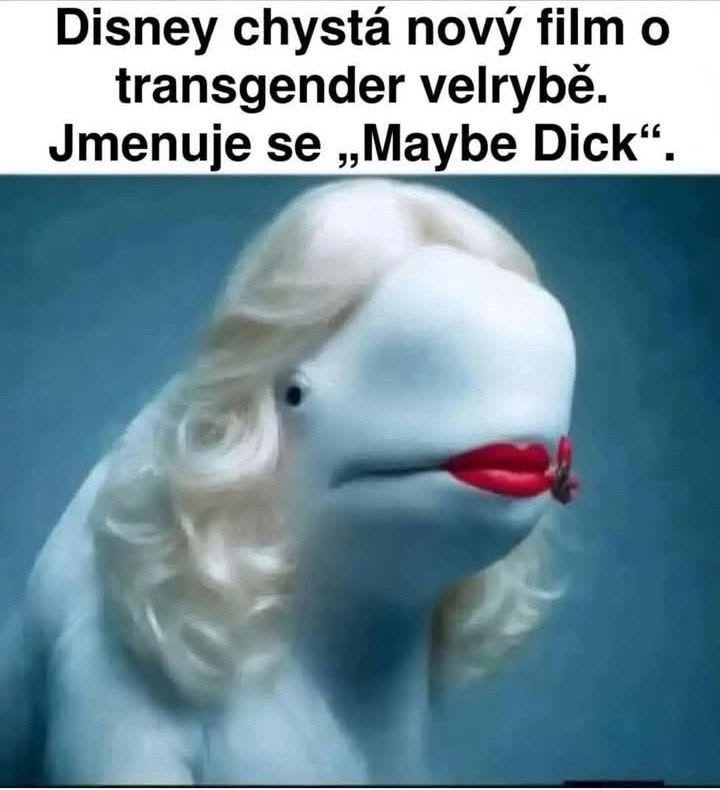 Obrázok bielej veľryby s blond parochňou a červeným rúžom, text o fiktívnom filme Maybe Dick.