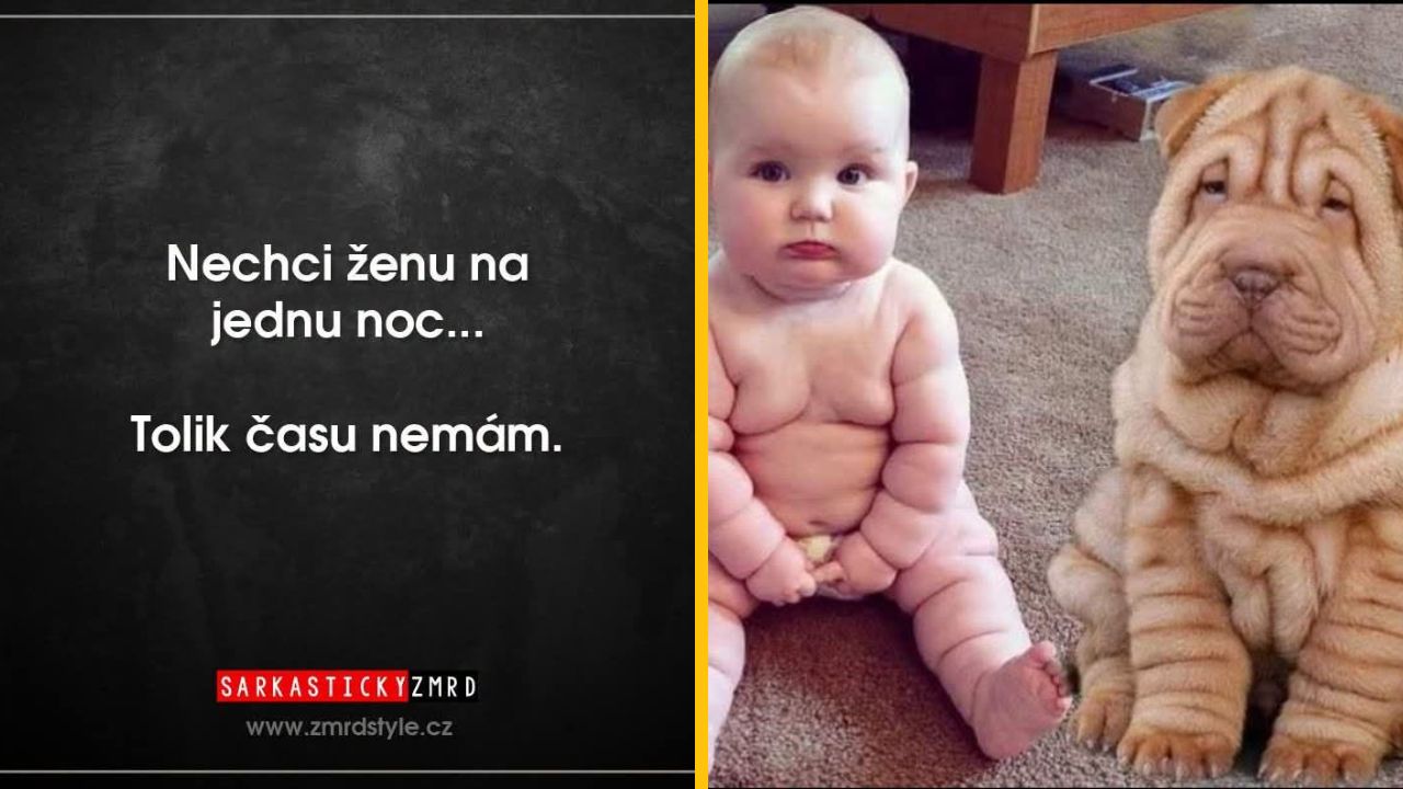 Bábätko a pes sedí vedľa seba so záhybmi na koži; vtipný kontrast a nápis v češtine.