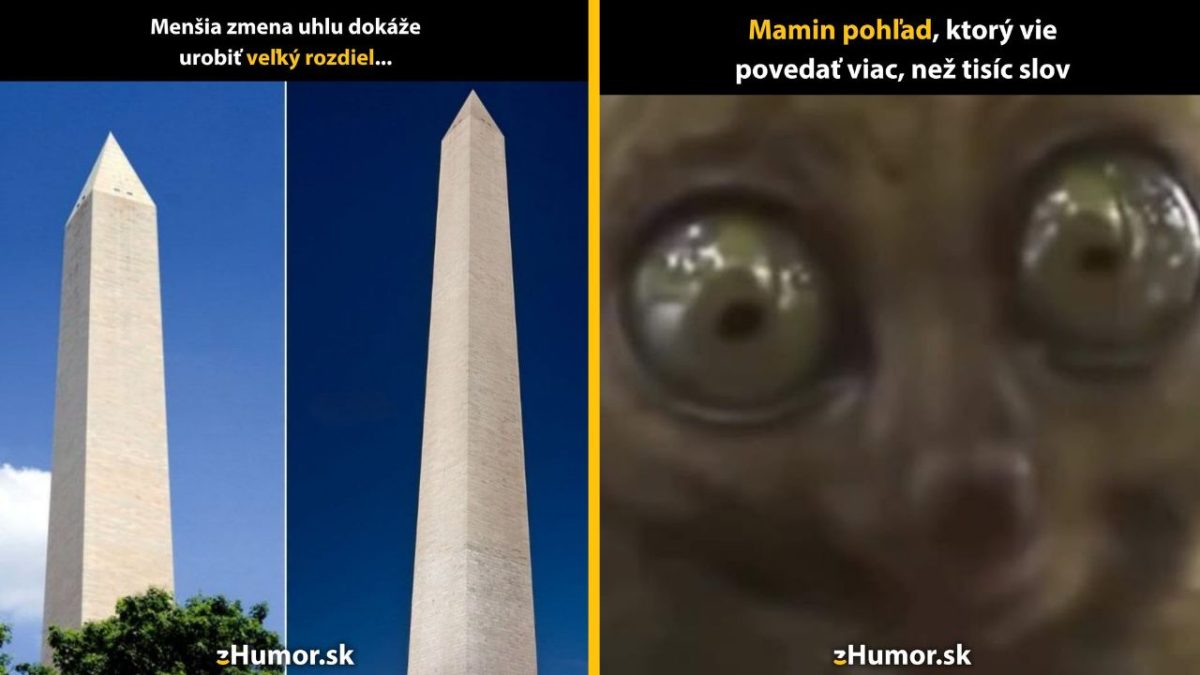 Porovnanie uhla pohľadu na pamätník a výraz očí mačky s popisom o rozdieloch z perspektívy a maminej reakcii.