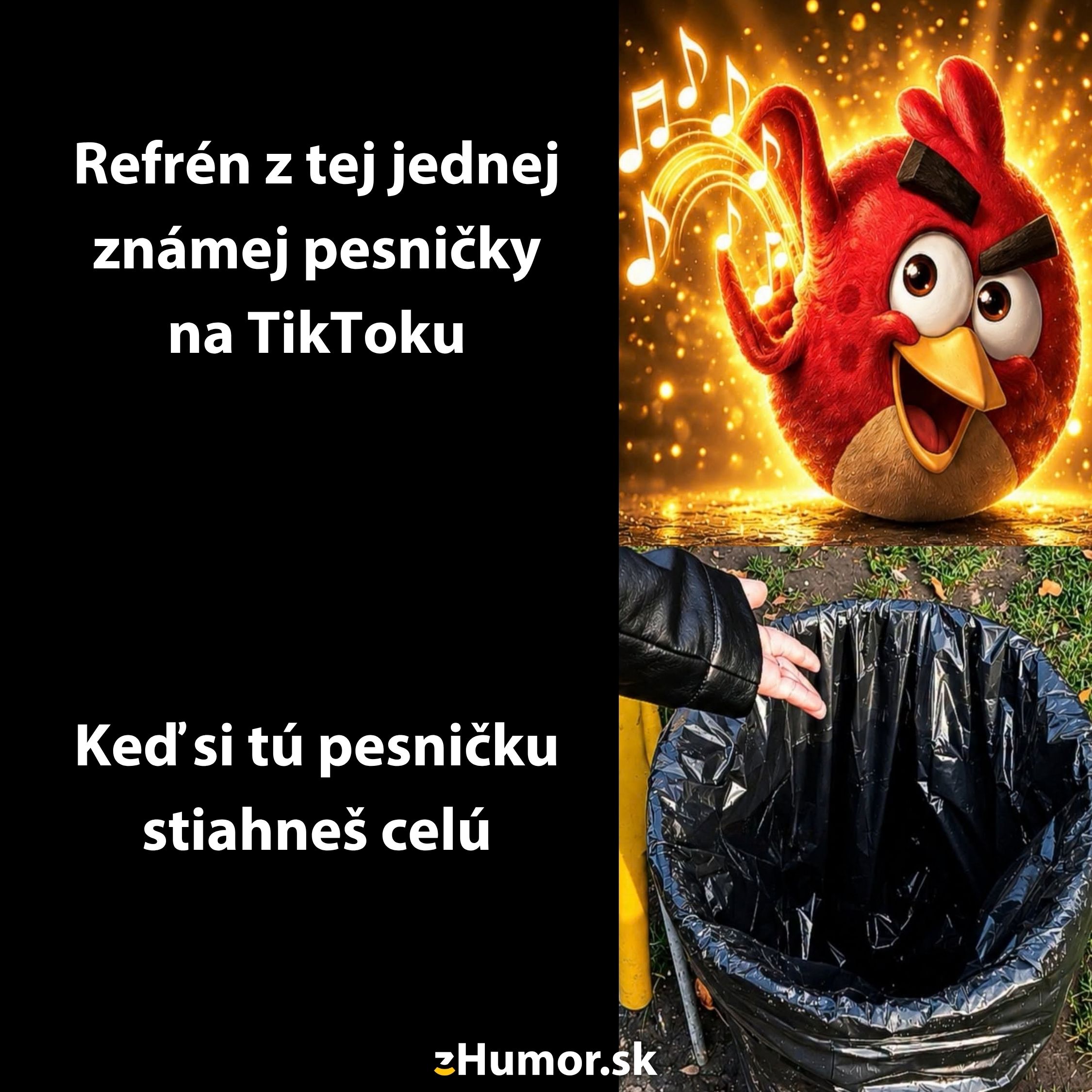 Obrázok s vtipným textom o skladbe z TikToku a Angry Birds ilustráciou.
