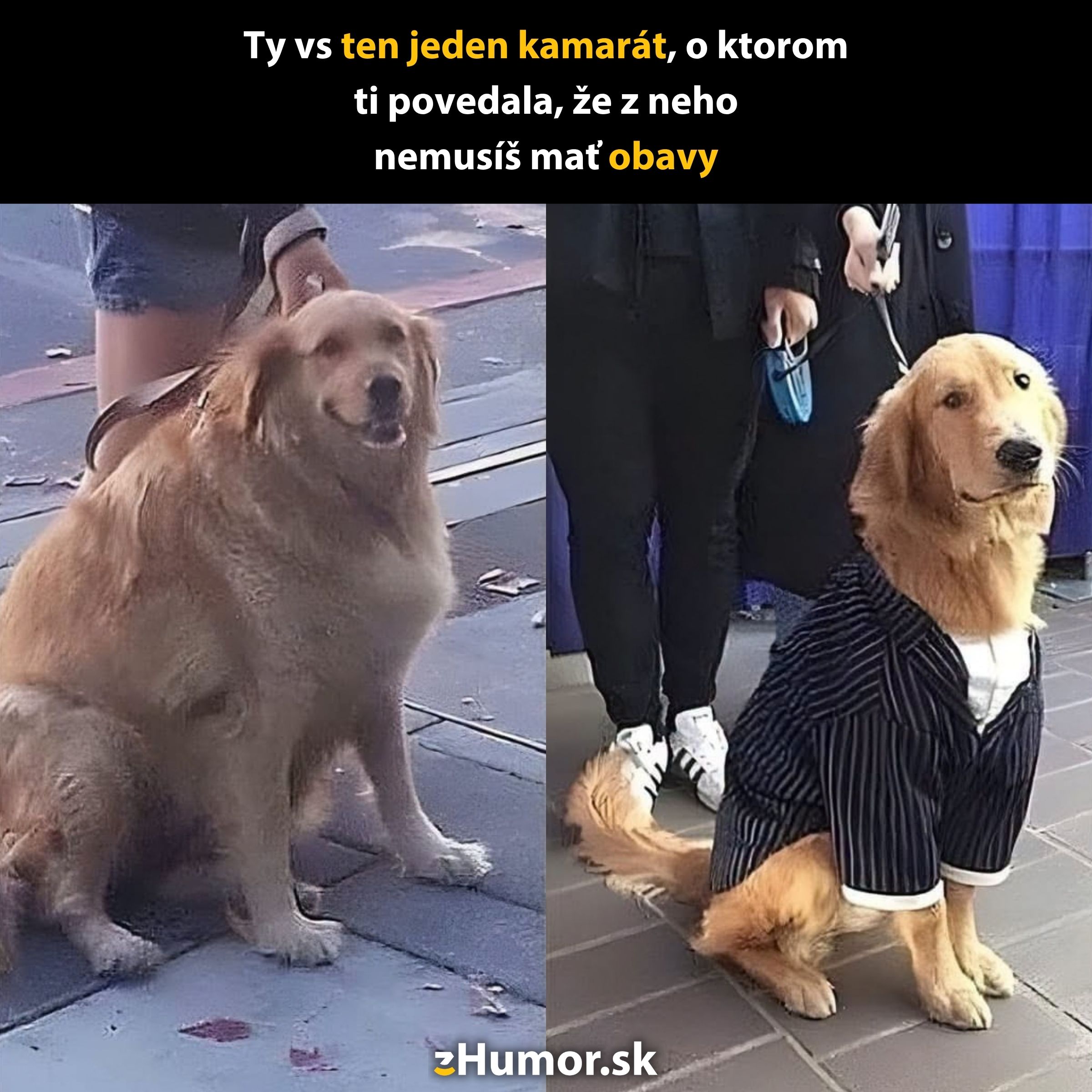 Dva psy, jeden ležérny a druhý v obleku, s textom o porovnaní kamarátov.