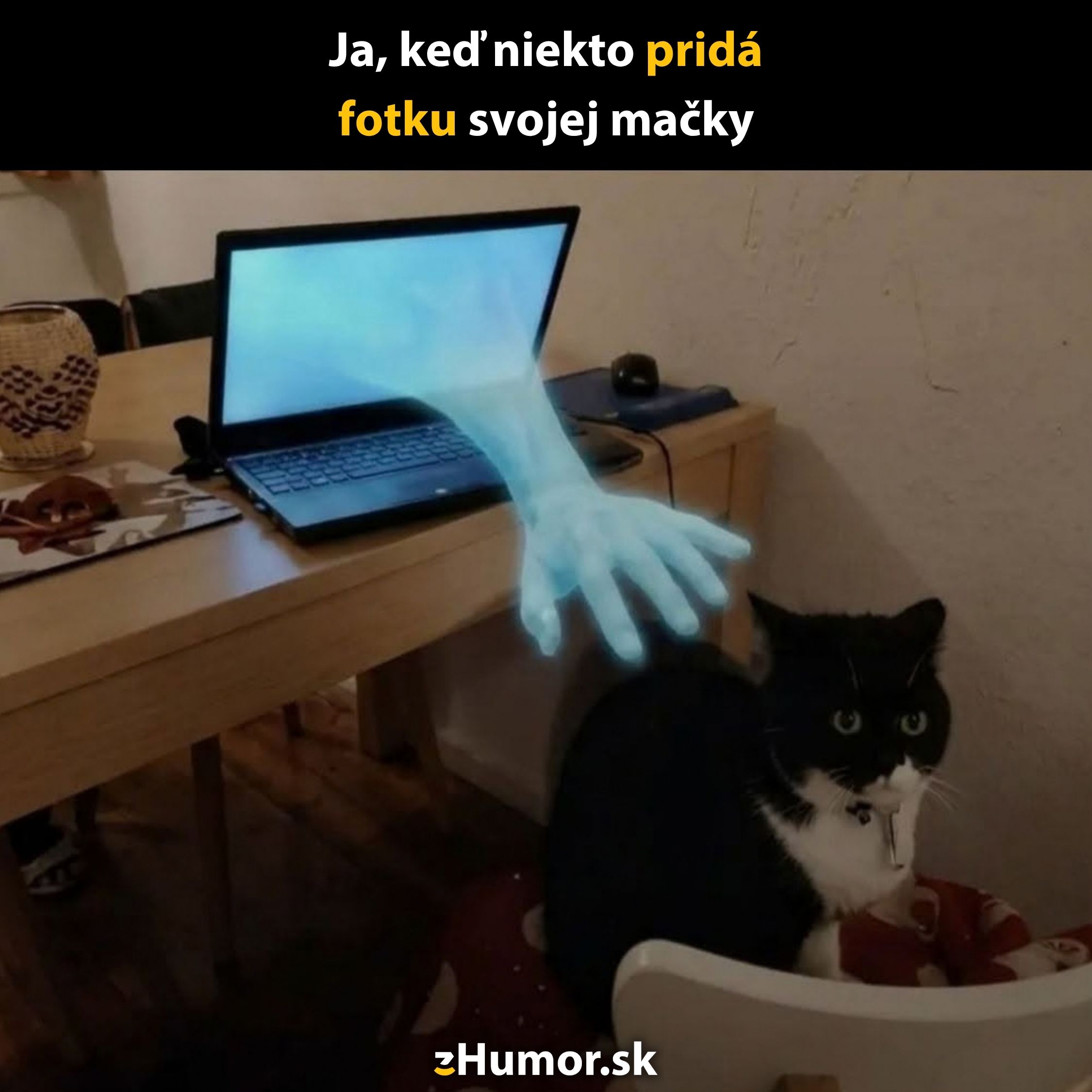 Ruka vychádzajúca z monitora smeruje k čiernobielej mačke sediacej pri stole, s textom: Ja, keď niekto pridá fotku svojej mačky.