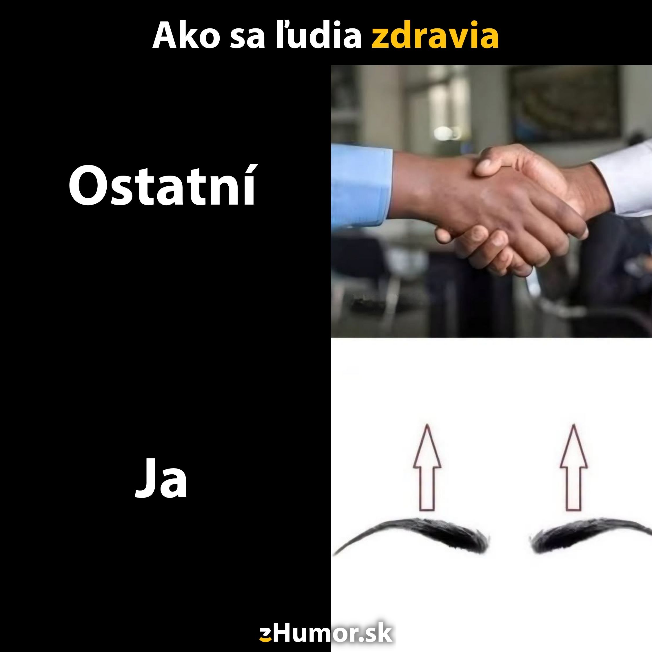 Ľudia sa zdravia podaním rúk, zatiaľ čo ja zdvihnutím obočia. Kontrastné spôsoby pozdravu vtipne zobrazené.