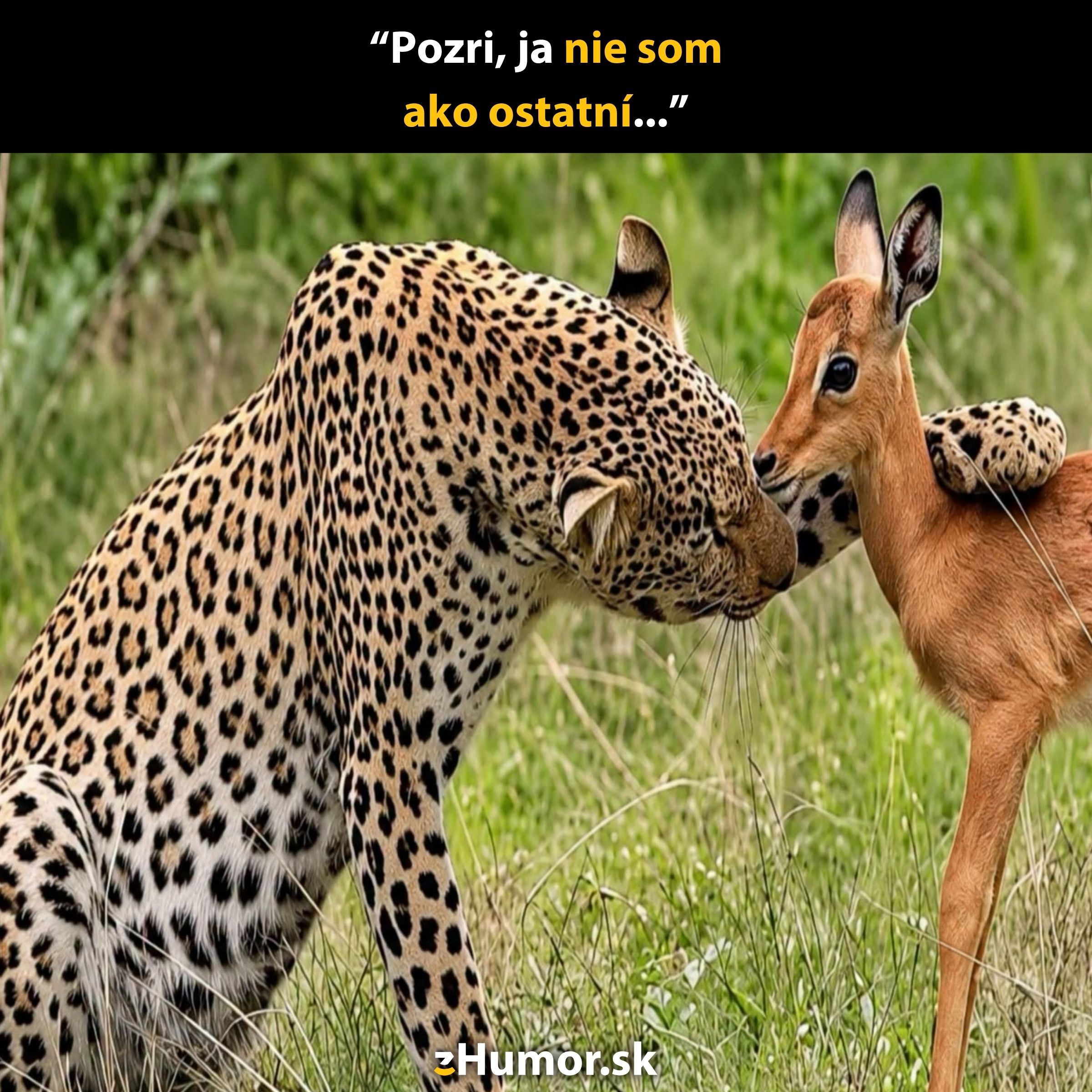 Leopard a antilopa v priateľskom geste na lúke, s vtipným textom „Pozri, ja nie som ako ostatní...“