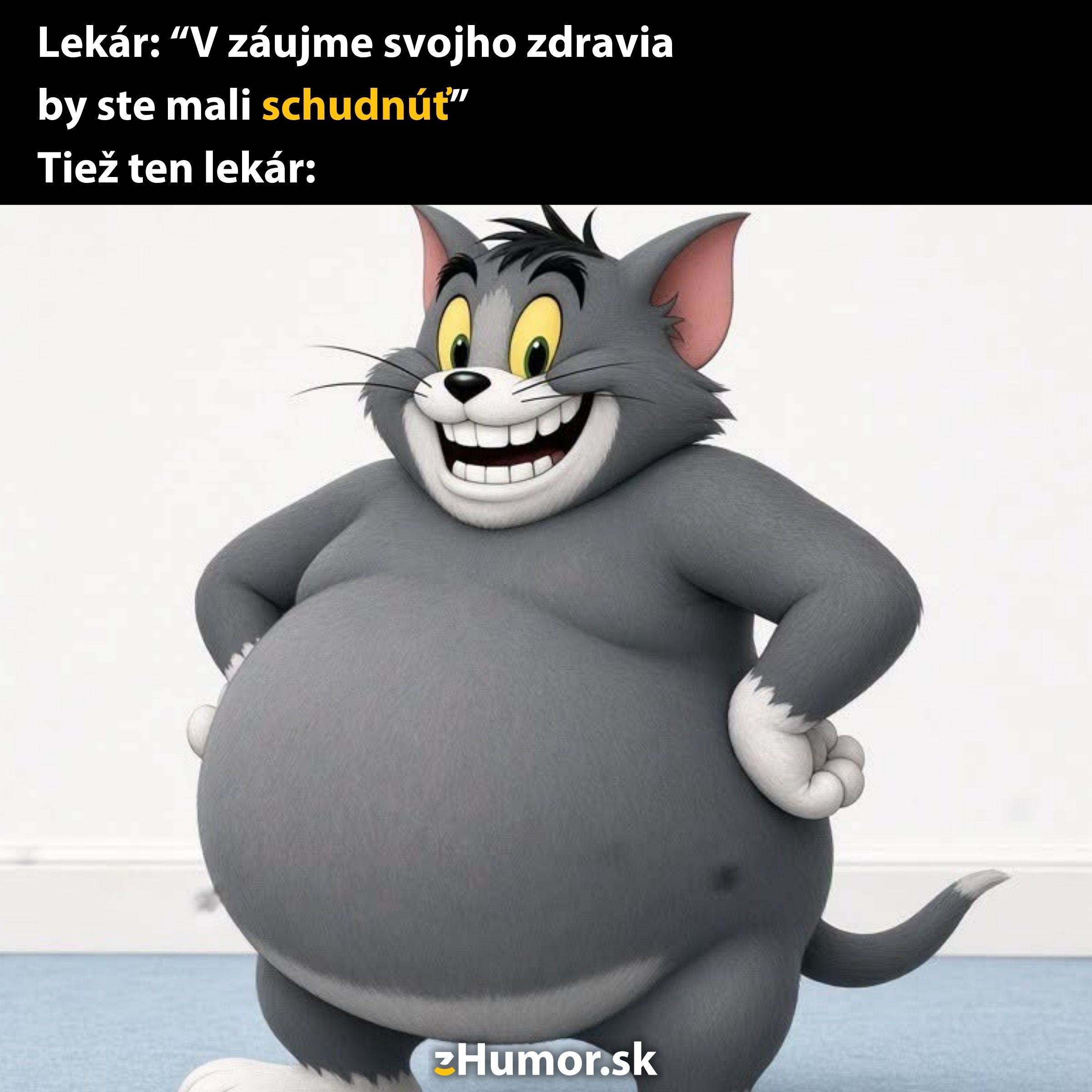 Kocúr s úsmevom a veľkým bruchom stojí vtipne pod textom o zdraví a chudnutí.