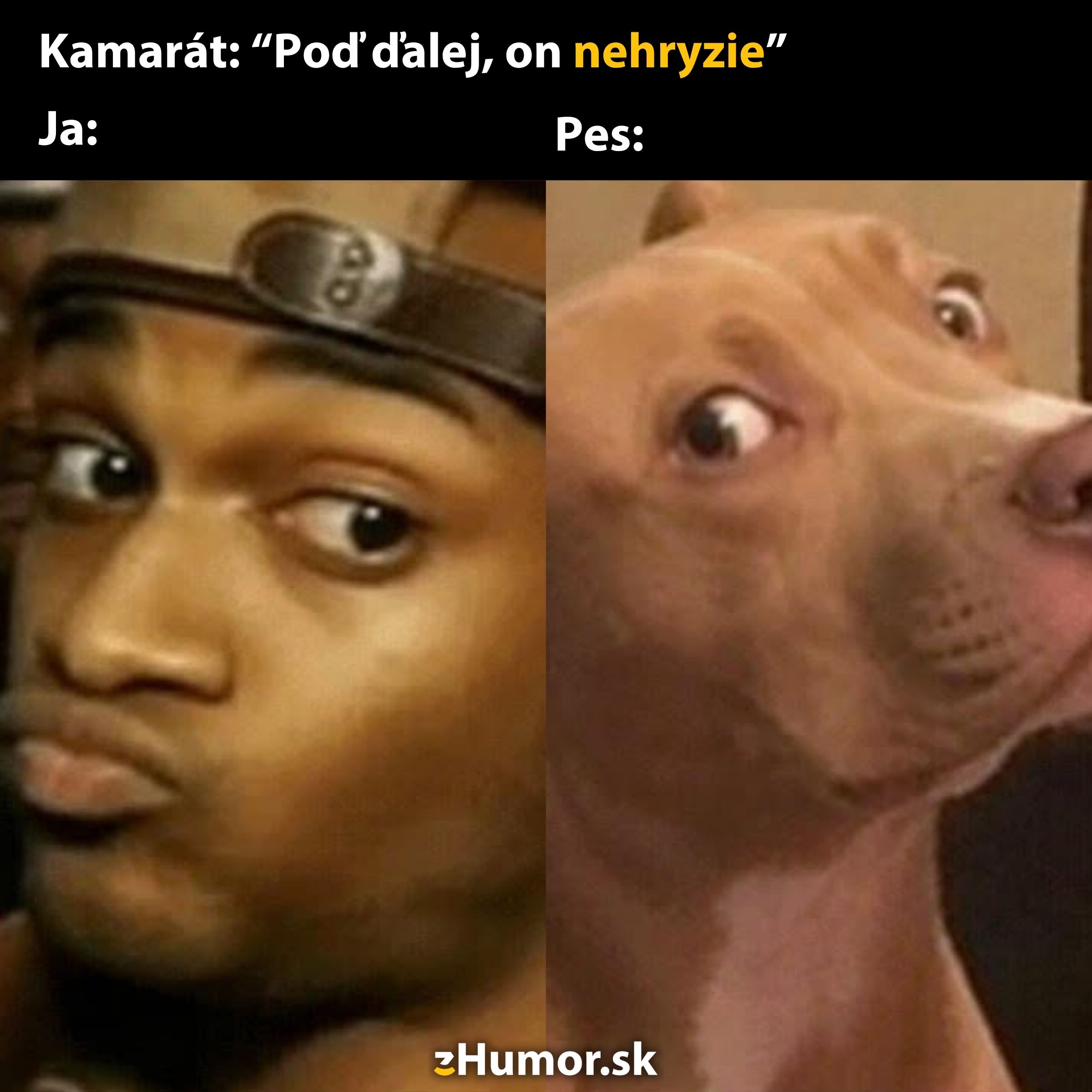 Meme s textom Pod' ďalej, on nehryzie a výraznými pohľadmi človeka a psa.