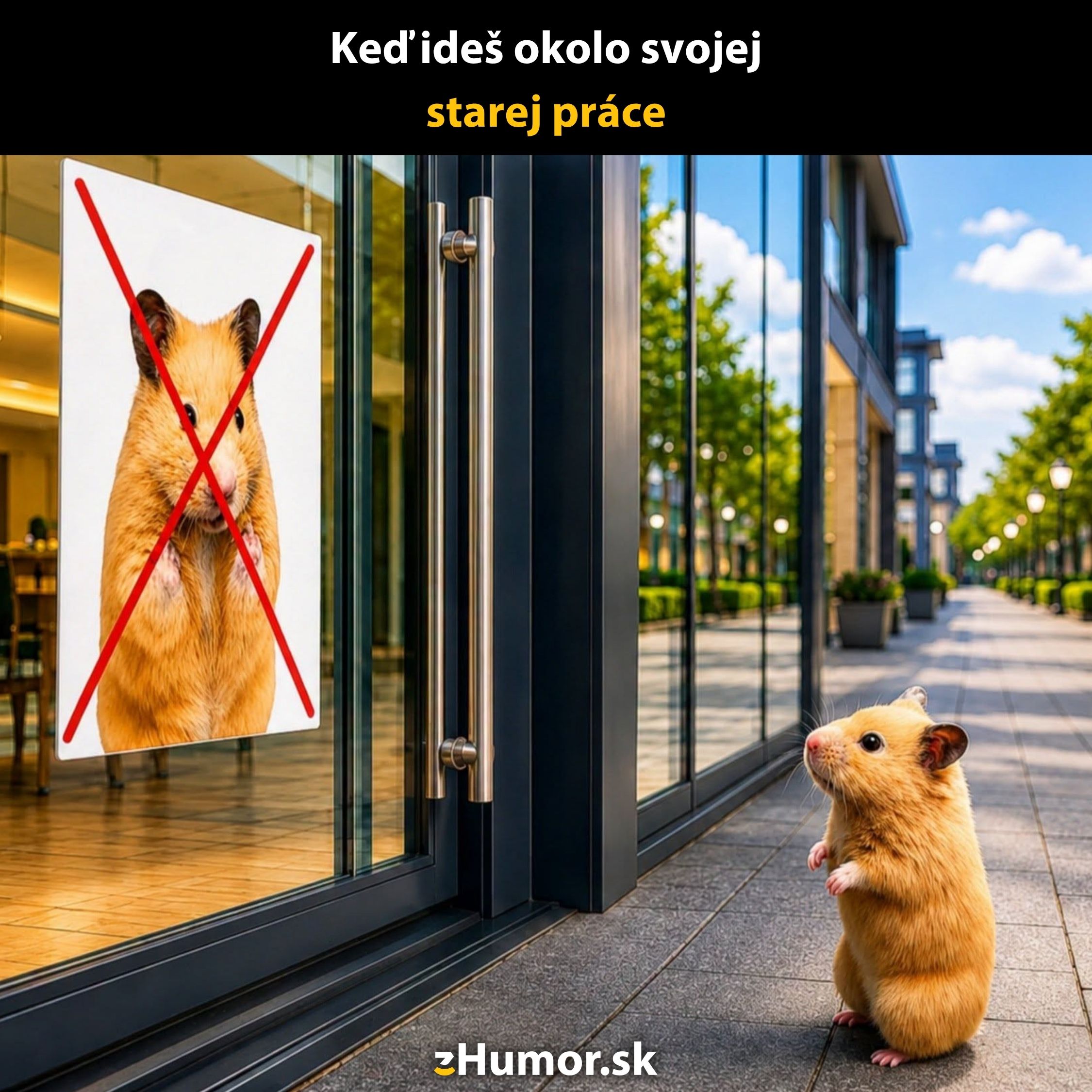 Škrečok stojí pred sklom, kde je jeho fotka preškrtnutá červeným znakom. Vonku je jasný slnečný deň.
