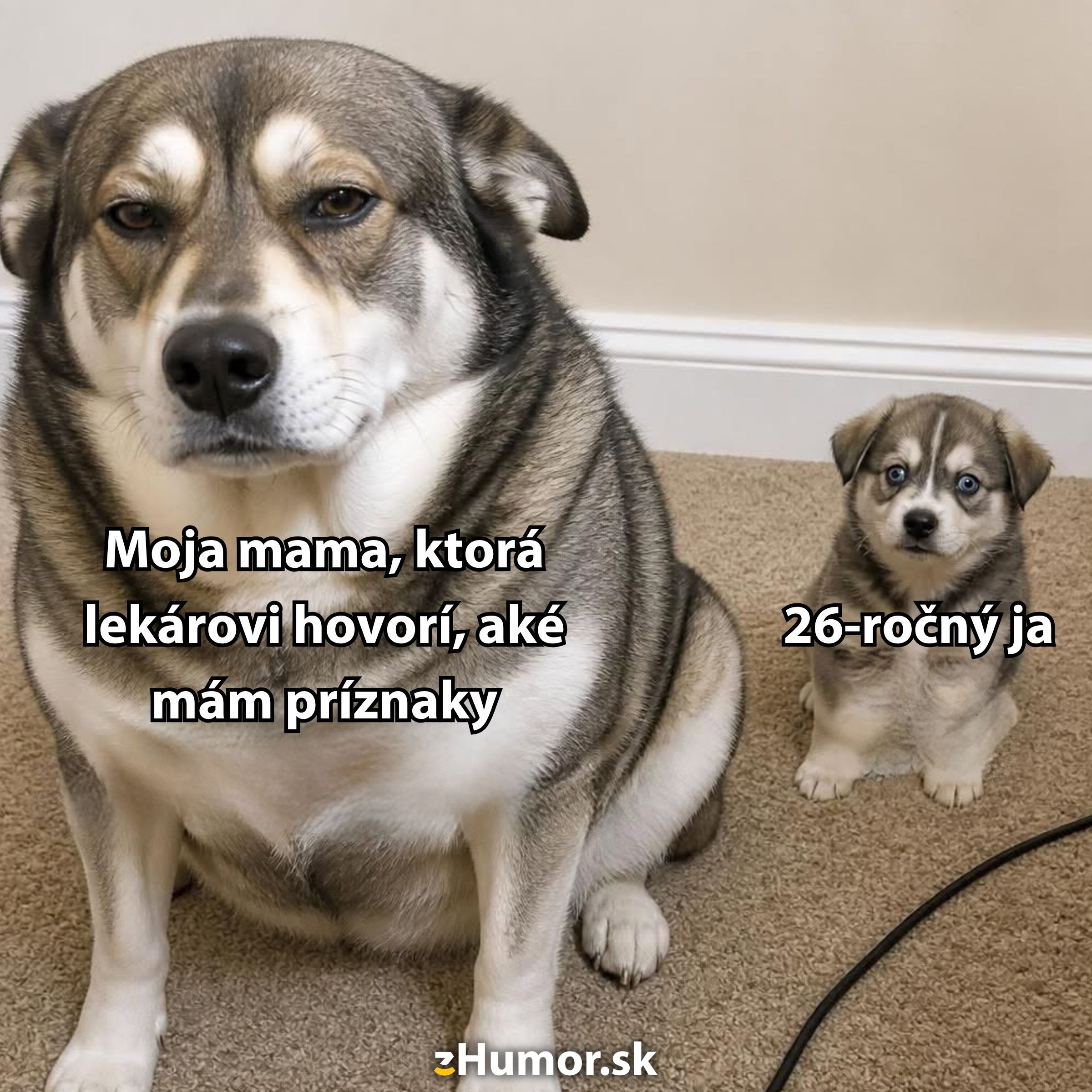 Dve psy na koberci s humorným textom: Moja mama lekárovi a 26-ročný ja.