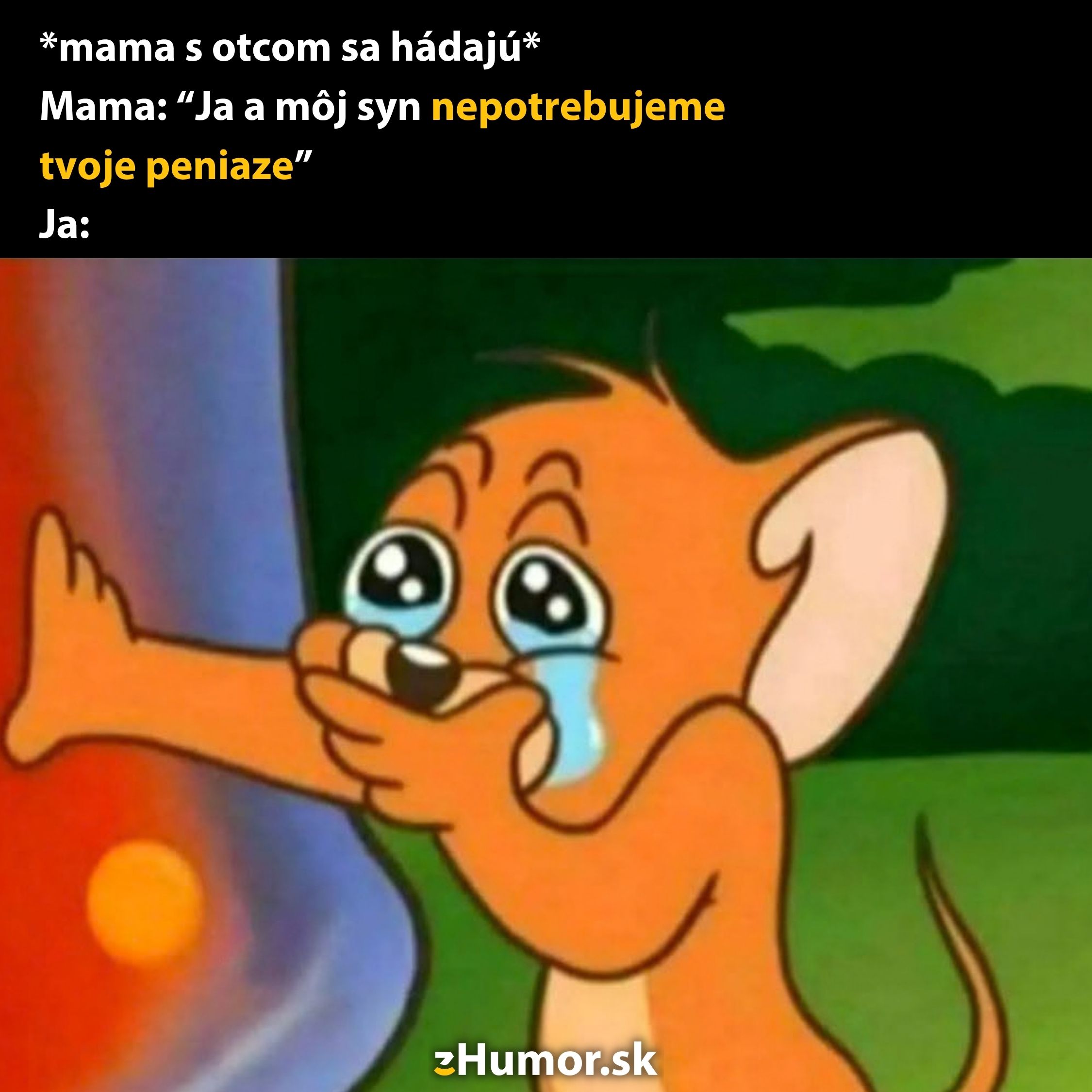 Kreslená postavička plačúca nad hádkou o peniazoch medzi rodičmi, text v slovenčine.