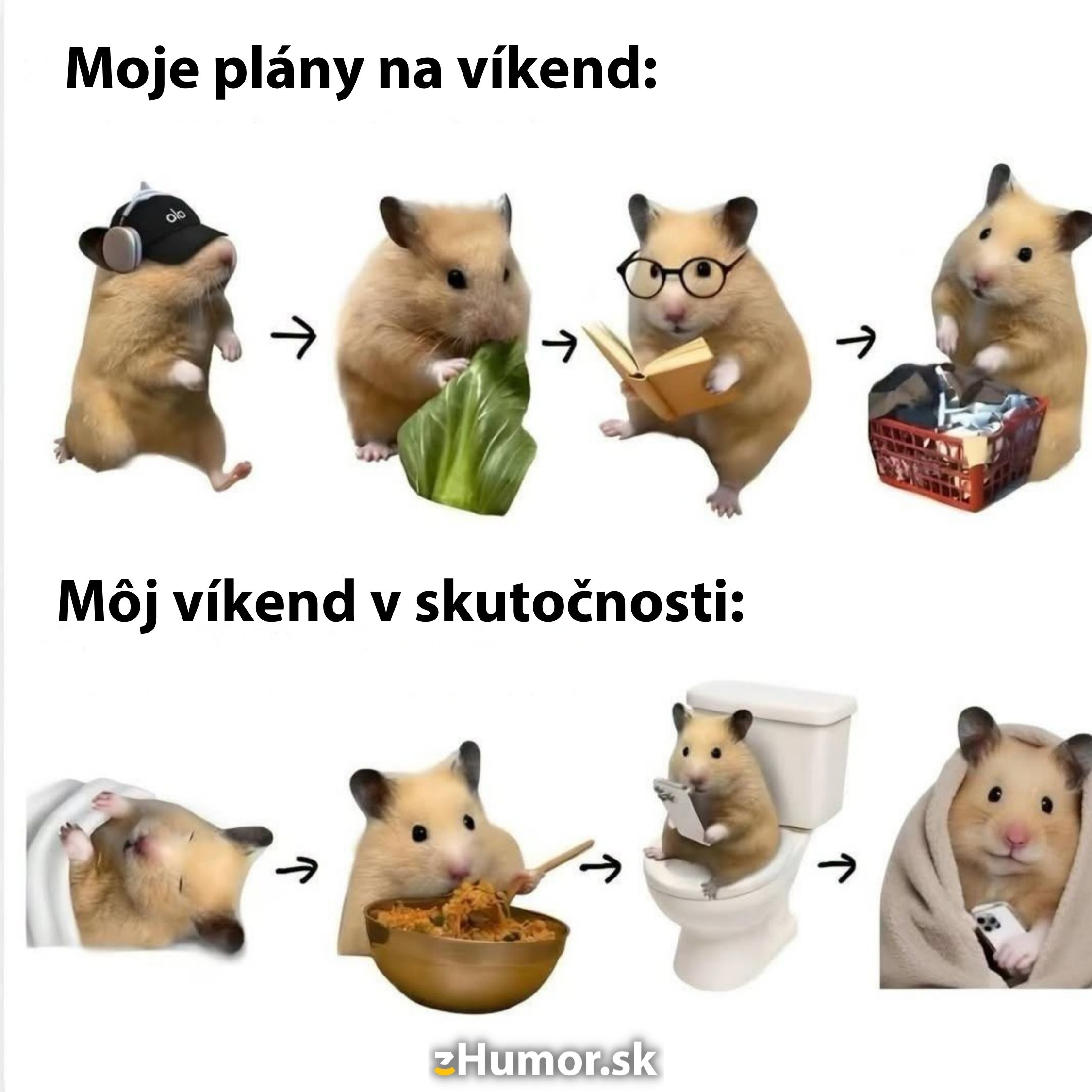 Hamster víkendové plány: Cvičenie, čítanie, upratovanie. Skutočnosť: Spánok, jedlo, telefón na toalete, odpočinok.
