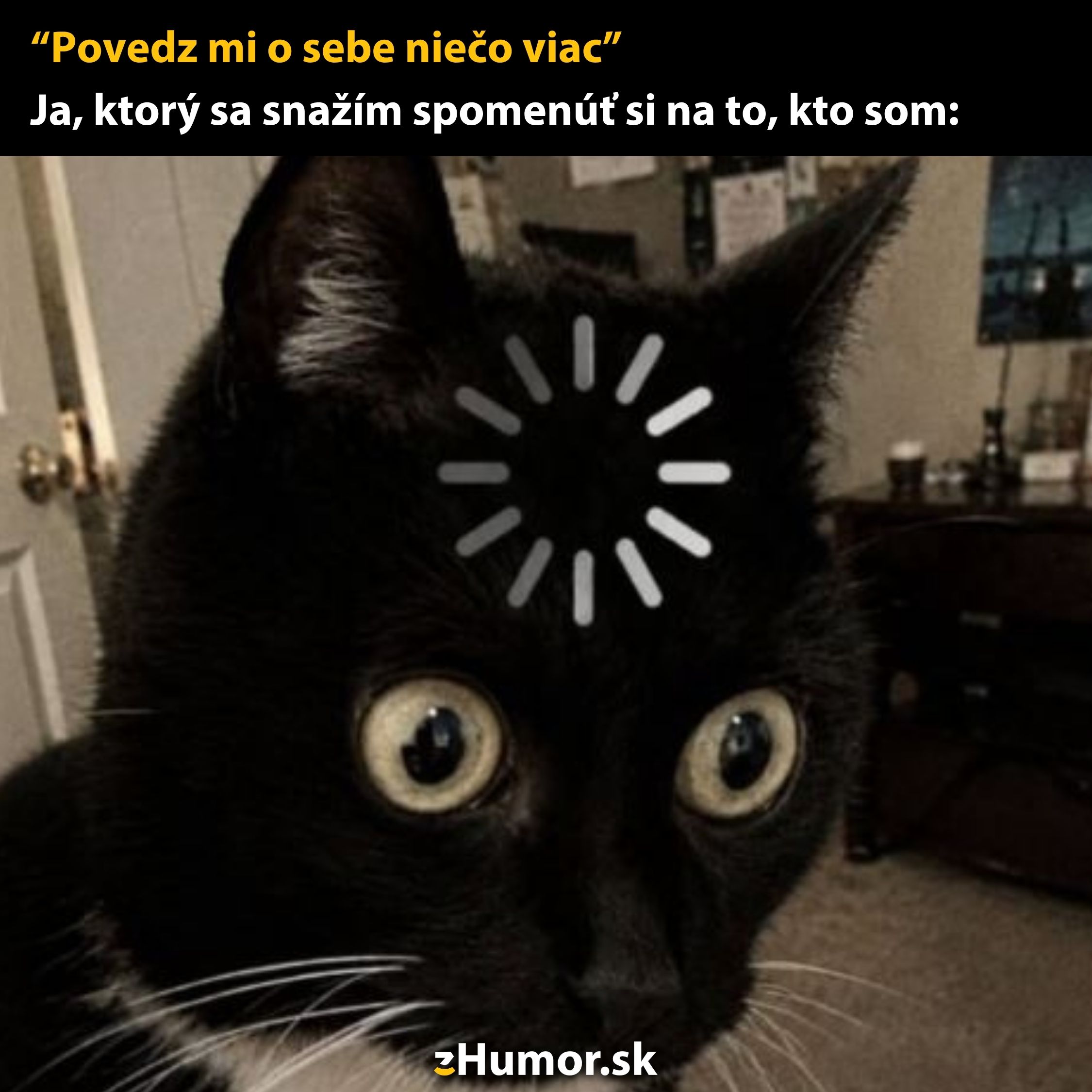 Mačka s vtipným načítaním nad hlavou, symbolizujúca zmätok. Skvelé meme na pobavenie.