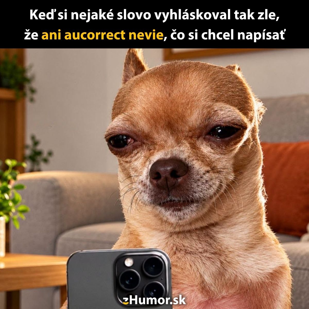 Pes s pochybovačným výrazom pozerá na mobil, keď automatická korekcia nepozná jeho preklep.