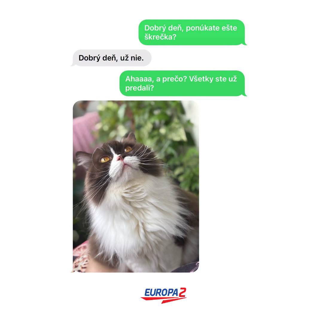 Mačka pozera hore, zatiaľ čo vtipná SMS konverzácia spomína škrečka. Rádio Europa 2 v pravom dolnom rohu.