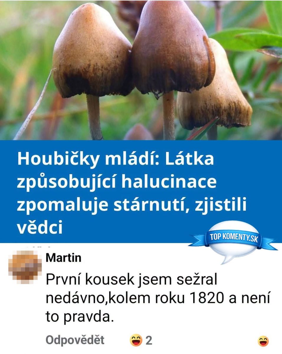 Huby s halucinogénnym účinkom údajne spomaľujú starnutie, komentár užívateľa vyjadruje nesúhlas.