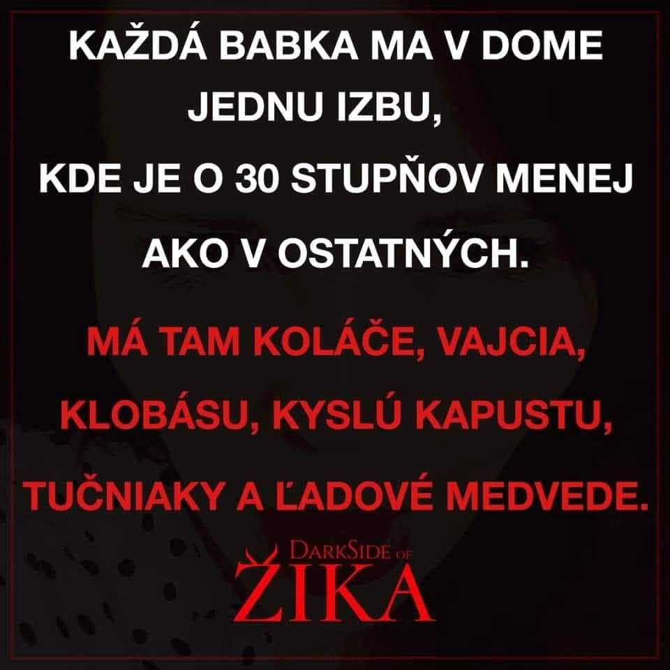 Babka má miestnosť chladnú o 30 stupňov, ukrýva v nej dobroty: koláče, vajcia, kyslú kapustu a viac.