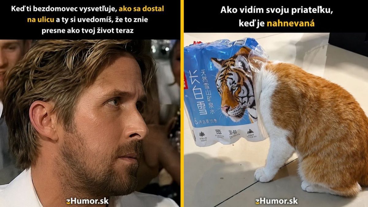 Muž počúva príbeh bezdomovca, mačka sa podobá na tigra cez balenie vody. Humor na tému nepopierania reality.