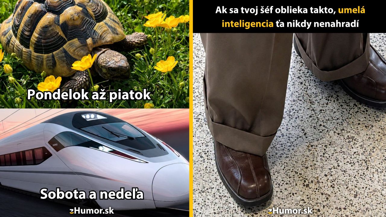 Želva a kvetiny, vlak a muži v oblekoch. Humorne zobrazený kontrast medzi pracovnými dňami a víkendom.