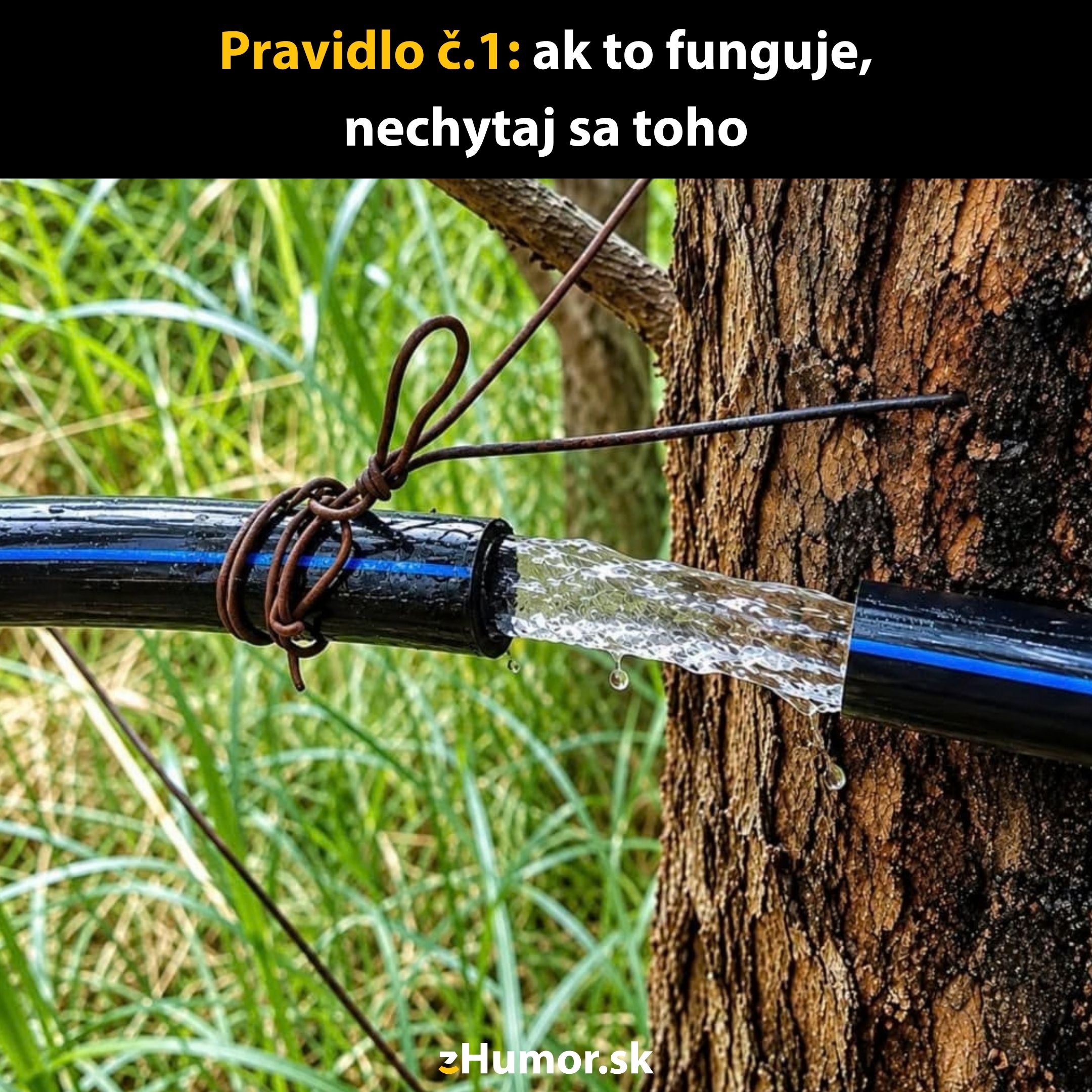 Tesniaca oprava na rúrke uviazaná k stromu, z ktorej tečie voda von, s humorným pravidlom o pokazených veciach.