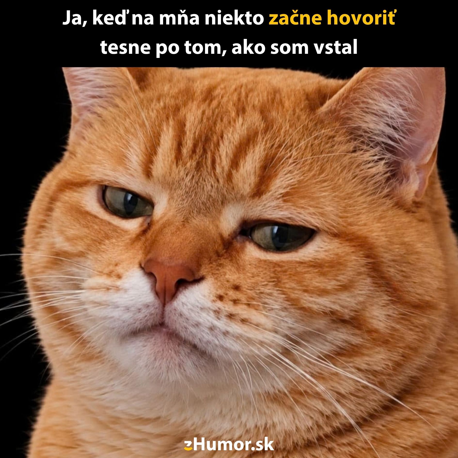 Oranžová mačka s ospalým výrazom na čiernom pozadí, humorný text o rannom vstávaní.