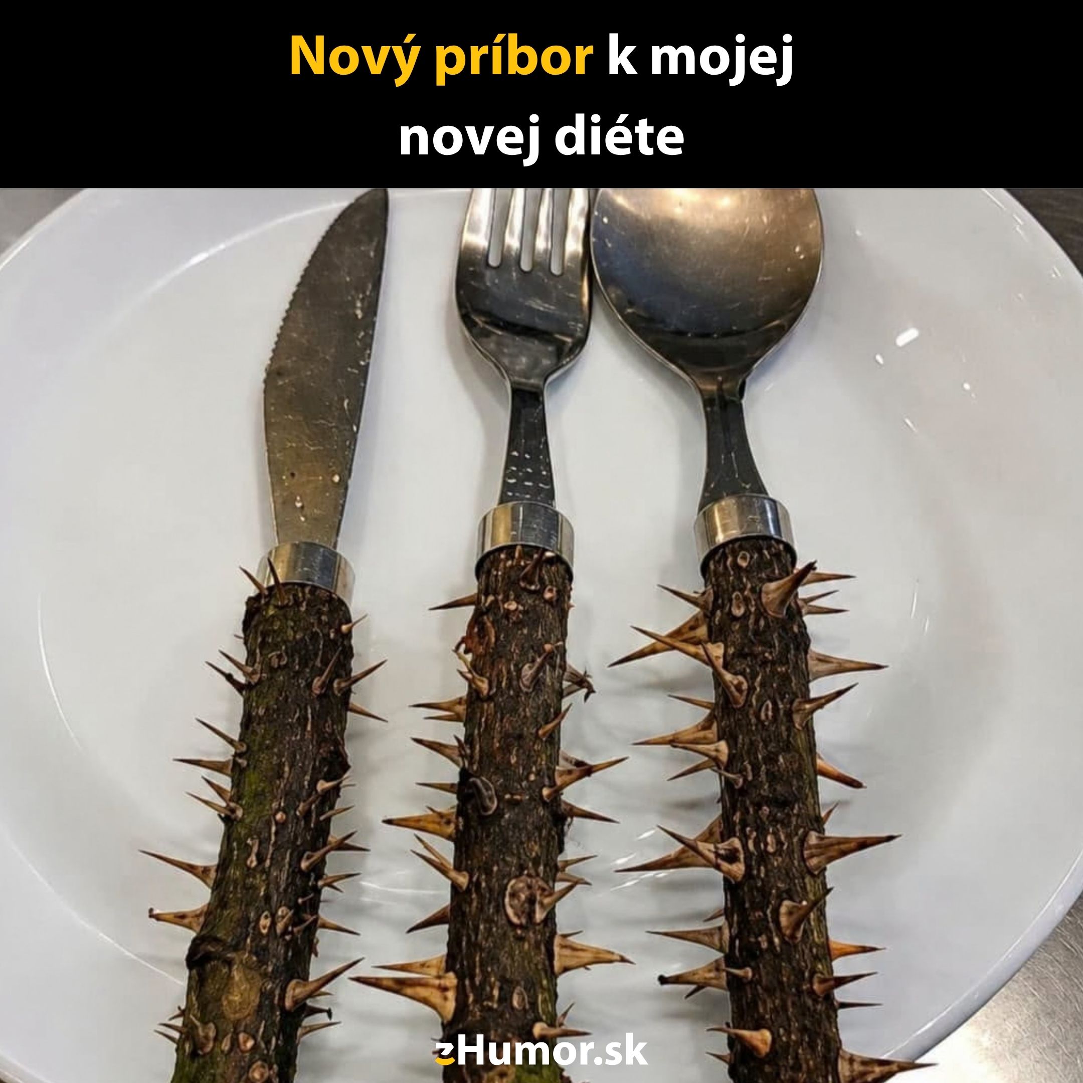 Ostrý príbor s rúčkami z tŕnistých konárov položený na bielom tanieri.