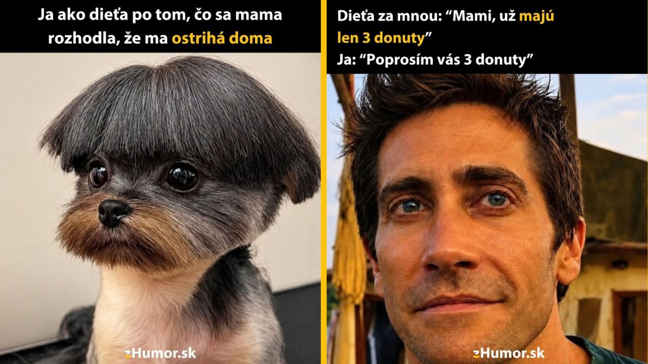 Pes s ofinou a muž so žartovným nápisom o strihaní a donutách. Humor.sk.