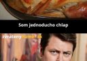 chlap