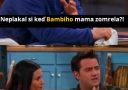 1 priatelia