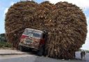 overloaded_vehicles_01