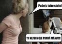 Žena kričí na mačku sediacu na stole. Text: Padej z toho stolu! Mačka odpovedá: Ty nejsi moje pravá máma!