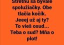 Bývalé spolužiačky sa stretli a rozprávajú o osude pri tlačení kočíka. Vtipný dvojzmysel o súde a plote.