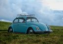blue Volkswagen Beetle on grass field