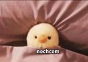Plyšová hračka schovaná pod prikrývkou s textom: Keď si dospelý a musíš ísť do práce - nechcem.
